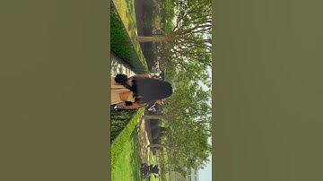 iPhone 12 Pro Max Cinematic Video. #shorts #iphone #cinematic