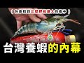 我在家找到台灣最大隻的蝦子 ! 夏天鮪魚開始變多，在東港魚市場買一隻大目鮪魚，這應該是另類在台灣養蝦的內幕吧 XD