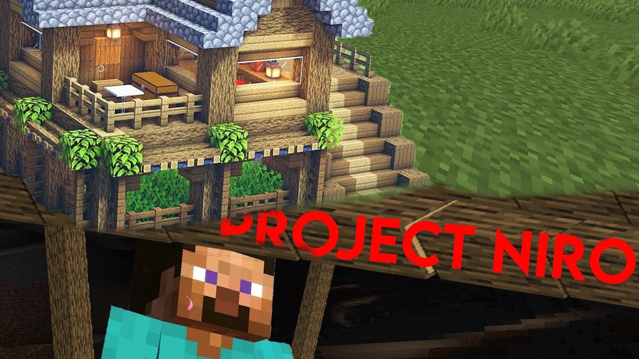 Project Niro: Living under a small streamers house