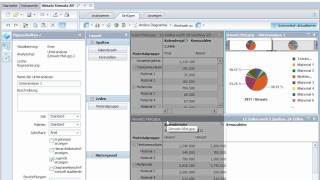 Demo SAP BusinessObjects Analysis for OLAP im Web.avi