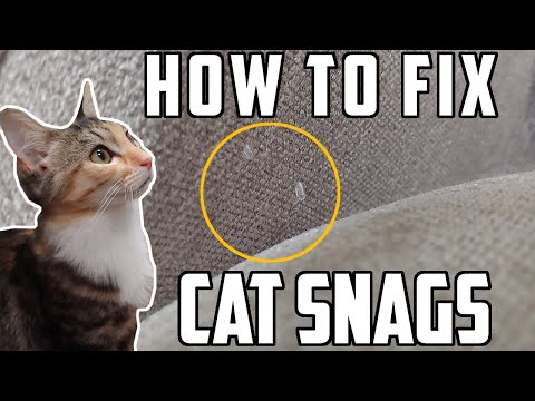 How To Fix Cat Snags