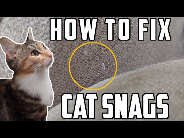 Fixing Cat Scratches On Fabric Furniture Using A Razor