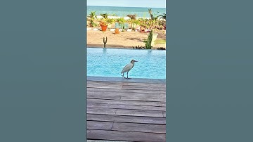 video output C914DBEF DDD0 4B70 B7DE 0F7949D3A611