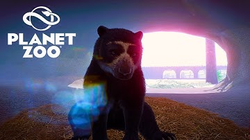 Het creëren van een ijsgrotbeerhabitat in onze gezellige winterdierentuin