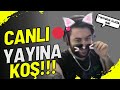 Sıfır P2W Minecraft | Adil Oyun – play.livecraft.biz 1.18.2