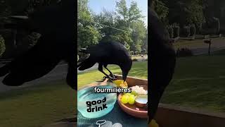 ⬇️Va voir ma dernière vidéo !⬇️