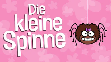 Hat die Spinne Zähne?