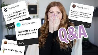 New Hamster Details? | Q&A