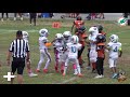 🔥🐬8u Louisville Dolphins vs Mob Squad Tigers🐅🔥