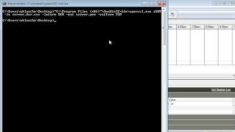 Converting and adding of a self signed certificate to use a Webservice Consumer transformation