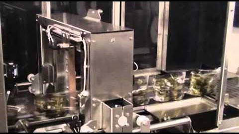 Polypack CFH Series Shrink Wrap Machines