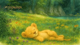 where nature sings me to sleep 🌼💛 chill for sunny fields and slow breathing