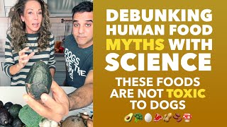 What Human Foods Are Toxic to Dogs?