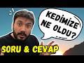 Siz Sordunuz, Ben Cevapladım! 🎥 Yusuf Arı Q&amp;A