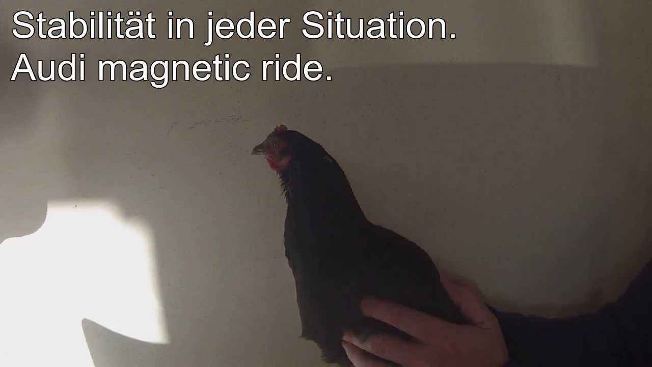 Mercedes Werbung Chicken Huhn Parody Youtube