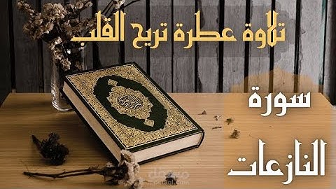 سورة النازعات القارئ/انس عبد التواب تلهيك عن الدنيا🥺#ترند