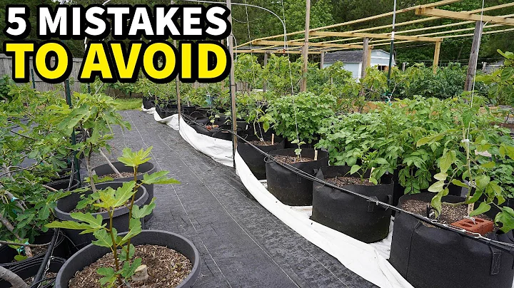 5 Mistakes You Must NEVER Make When Container Gardening