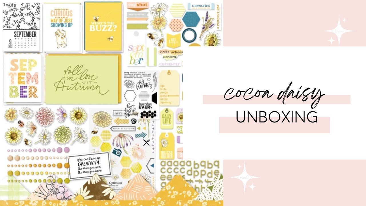 Cocoa Daisy Unboxing Daisy Fields Kits Classic Happy Planner Erin