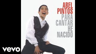 Video thumbnail of "Abel Pintos - El Bailarin de los Montes (Official Audio)"