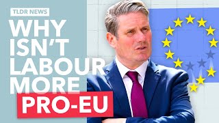 Should Labour try to Rejoin the EU?