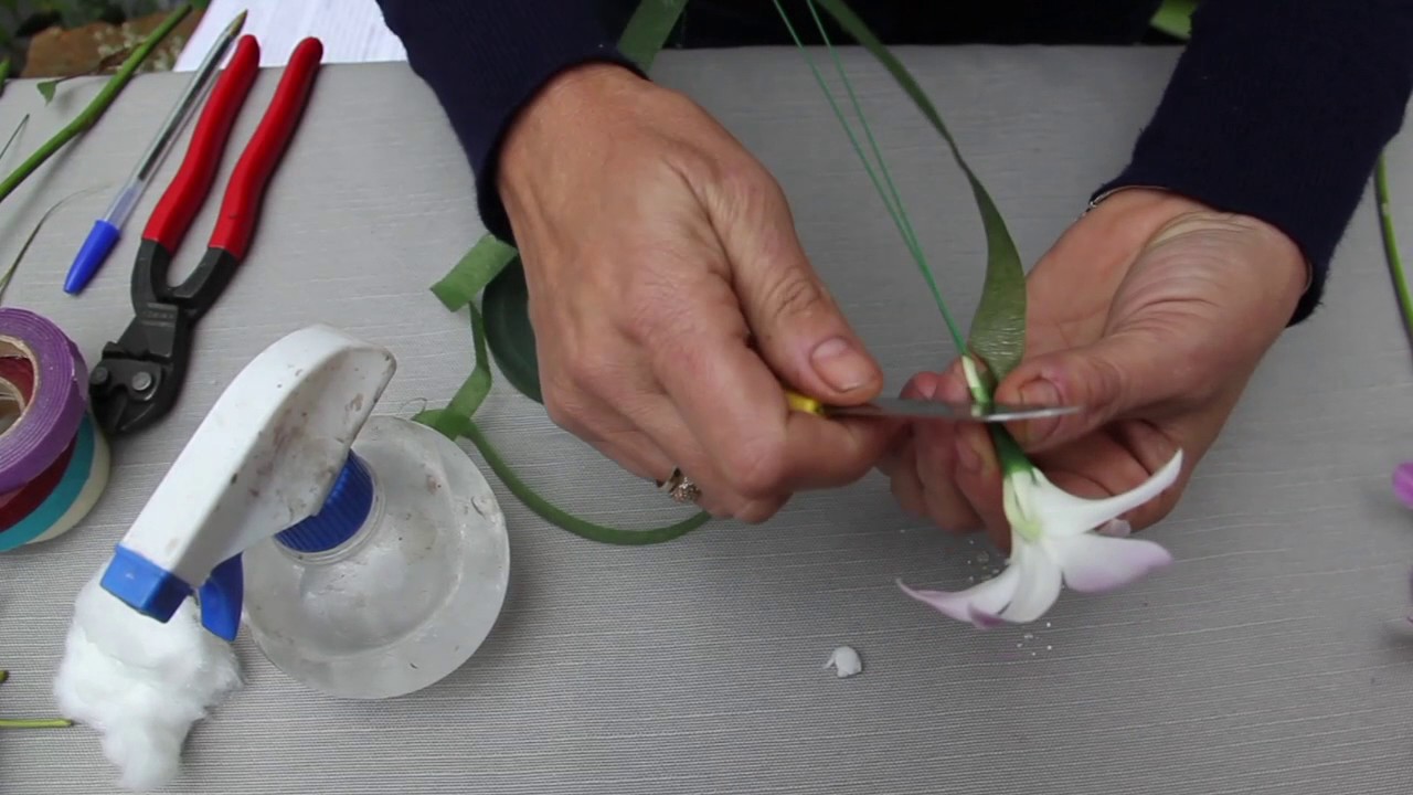 Cómo alambrar y entaipar flores