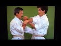 Tensho kata and bunkai  shogo kuniba soke