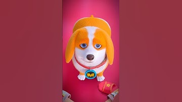 Stop Moco from biting shoes🐕😀#moco #shorts #edit