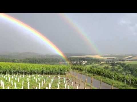 Double Rainbow In The Sky Double Rainbow In The Sky