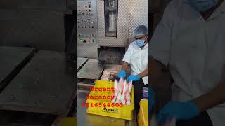 Factory Vacancy Jobs Work