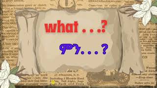 What. . .  ?  እንዴት እንጠቀማለን ?How to use WH questions?