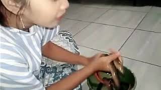Mainan Belut Sambil Dimasak  Lagunya Begitu