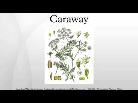 Video: Annual At Biennial Caraway Varieties – Ang Caraway Biennial O Annual ba