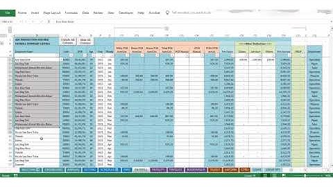 VL Payroll System - Tutorial Video