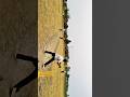 village cricket shorts #shorts #viral #cricket #youtubeshorts #minivlog