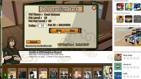 Ninja Saga New Update ATM PET EXP #June 2015 [100% Working]