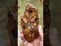 the process of discovering old fossil stones in the expanse #POSSIL #fossil #gemstone #mine