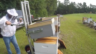 Pulling Honey Mid July 2023 - Using Fume Boards - Learning How To Use My Hive Lifter