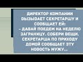 Уезжаю с шефом в командировку. Подборка веселых анекдотов! Приколы!