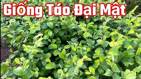 Cây trồng thông thường định giá như thế nào