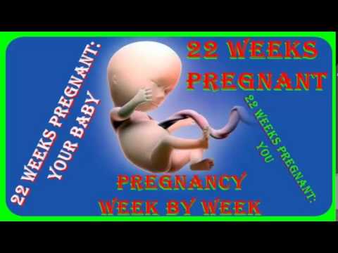 22-weeks-pregnant