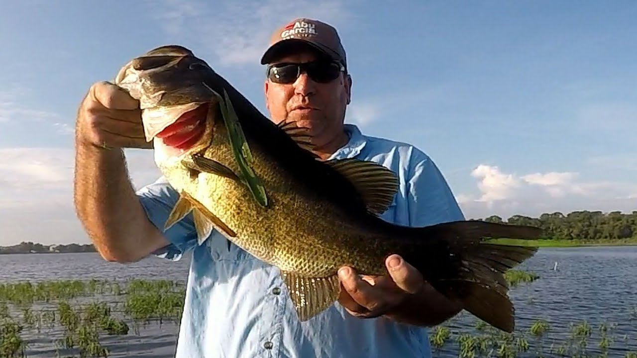 Johns Lake Bass Fishing YouTube