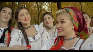 Oana Tomoiaga  - Cunună descununată