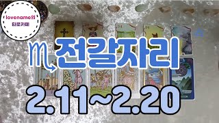 [타로/별자리운세] ♏전갈자리♏【2/11~2/20】 운의 흐름