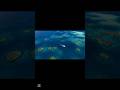 The Mystery of Bermuda Triangle”#BermudaTriangle #Mystery #Facts #Ocean #Shorts #UrduFacts