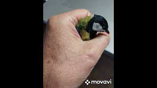 Дачная жизнь.