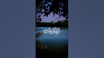 القارئ أحمد النفيس#قرآن #المصحف #إستمع #اكسبلور