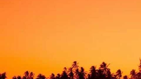 Save Yourself From the Fire - Hassan as-Sumaalee