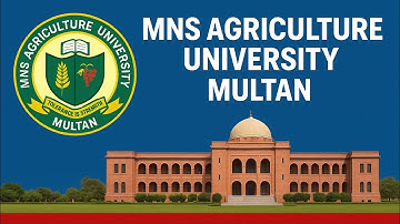MNS Agriculture University Multan | Admissions & Updates | 23 September 2025