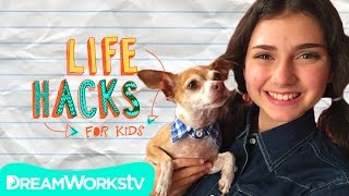 Who said hacks are only for humans? expert life hacker sunny is here
to hack the dog days of summer. treat your favorite four legged friend
a cuter collar...