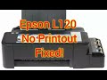 Epson L120 No Printout Fixed!